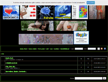 Tablet Screenshot of 2lm.iq24.pl